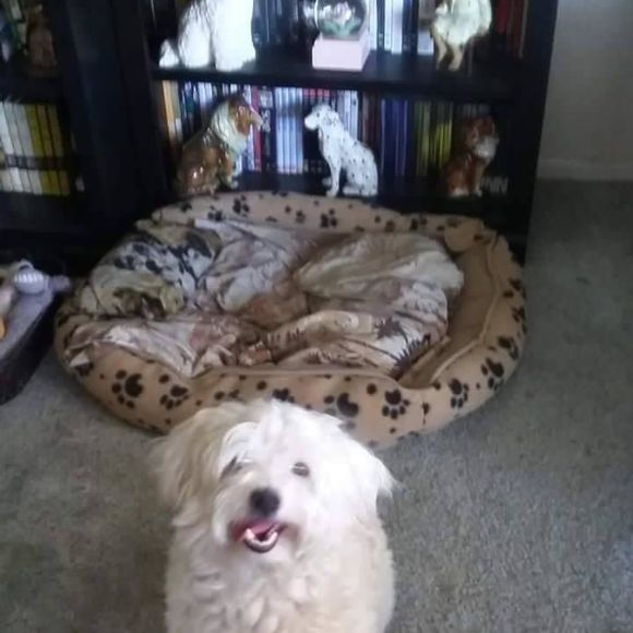 Meet your Posher, Patricia - Picture 1 of 1